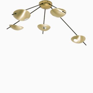 Quinque II Helios Collection Blackened Ceiling Lamp by Design for Macha