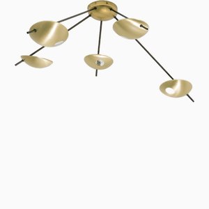 Quinque II Helios Collection Geschwärzte Deckenlampe von Design für Macha