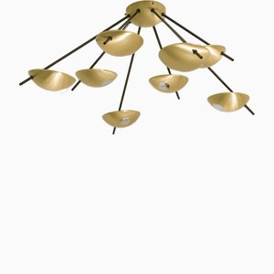 Octo II Helios Collection Unpolished Lucid Wall and Ceiling Lamp by Design for Macha