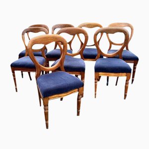 Viktorianische Esszimmerstühle aus Mahagoni mit Ballonrücken, 8 . Set