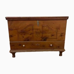 Antique Hardwood Carved Blanket Chest with Drawer, 1870