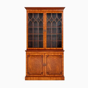 Regency Revival Bookcase in Glazed Mahogany