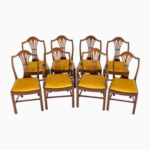 6 sillas de comedor y 2 butacas Hepplewhite de caoba, década de 1890. Juego de 8