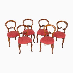 Victorian Balloon Back Dining Chairs in Walnut, Set of 6