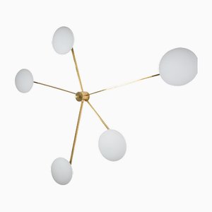 Stella Starfish Unpolished Lucid Ceiling Lamp in Brass and Opaline Glass by Design for Macha