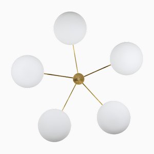 Stella Daisy Chrome Opaque Ceiling Lamp in Brass and Opaline Glass by Design for Macha