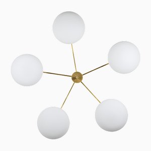 Stella Daisy Unpolished Lucid Ceiling Lamp in Brass and Opaline Glass by Design for Macha