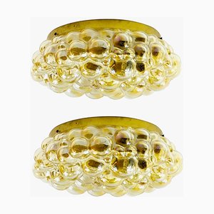 Large Amber Bubble Glass Ceiling Lightsby Helena Tynell for Limburg, 1970s, Set of 2
