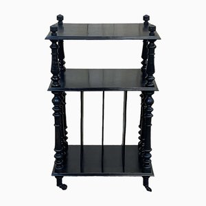 Napoleon III Partition Furniture in Blackened Wood, 1890s
