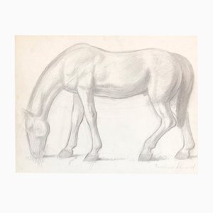 Frédéric Schmied, Cheval, Crayon sur Papier