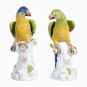 Statuette di pappagalli in porcellana, set di 2