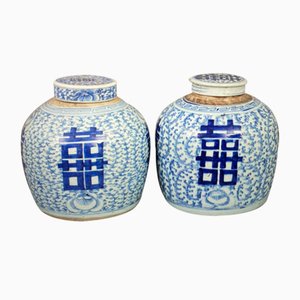 Macetas de jengibre de la dinastía Qing, siglo XIX. Juego de 2