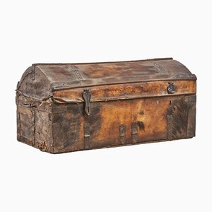 Trunk with Wild Boar Leather