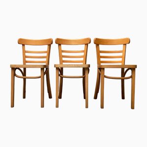 Chaises Mid-Century en Bois Courbé par ZPM Radomsko pour Mobilair, Allemagne, 1950s, Set de 3