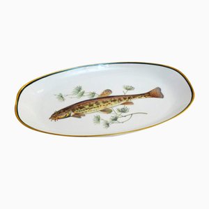 Fish Illustrated Service Dish in Porcelain from Arzberg, 1960s