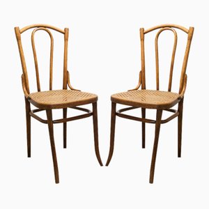 Cannage Chairs by Michael Thonet for Thonet, 1890s, Set of 2