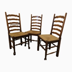 19th Century Farmhouse Ladder Back Dining Chairs, 1830s, Set of 3