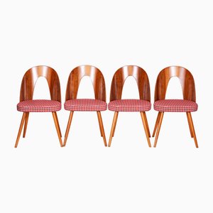 Chaises de Salle à Manger Mid-Century en Hêtre et Noyer, Tchèque, attribuées à Antonín Šuman, 1950s, Set de 4