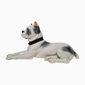 Figura Molosser de porcelana de Pfeffer Gotha, Turingia, 1934