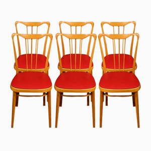 Italian Chairs in Exotic Wood and Faux Leather, 1960, Set of 6