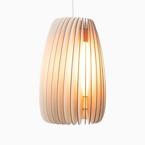 Secundum Pendant Lamp from Schneid Studio