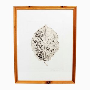 H Zimmermann, Tree Leaf, 2000, Engraving, Framed