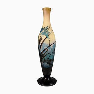 Large Art Nouveau Iris and Lily Pond Cameo Vase from Emile Gallé, France, 1906s