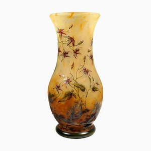 Large Art Nouveau Cameo Vase with Solanum Dulcamara Decor from Daum Nancy, France, 1910