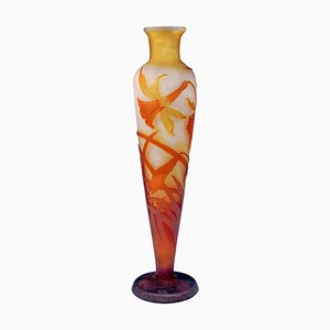 Vase Camée Art Nouveau avec Décor de Jonquilles de Émile Gallé, France, 1904