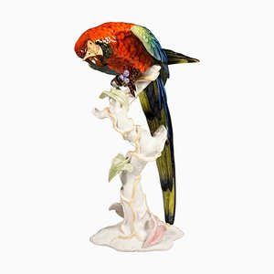 Large Porcelain Macaw on a Trunk Figure by Fritz Heidenreich for Rosenthal, Germany, Mid-20th Century