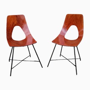 Ariston Stühle aus Sperrholz & Metall von Augusto Bozzi für Saporiti Italia, 1950er, 6 . Set