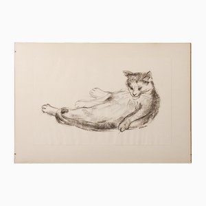 Estella Den Boer, Cat, 1970s, Charcoal Drawing