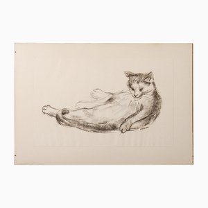 Estella Den Boer, Cat, anni '70, Disegno a carboncino