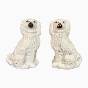 Large Victorian Seated Staffordshire Spaniel Dogs, 1880s, Set of 2