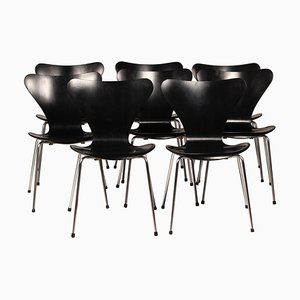 Sillas Arne Jacobsen series 7 o 3107 atribuidas a Fritz Hansen Mid-Century Modern 1964, años 50. Juego de 8