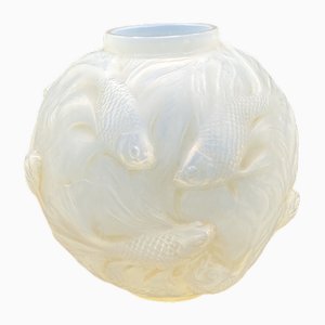 Vaso Formose di R.Lalique, 1924