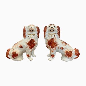 Victorian Seated Spaniels, 1880s, Set of 2