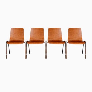 Scandinavian Dining Chairs, 1960s, Set of 20