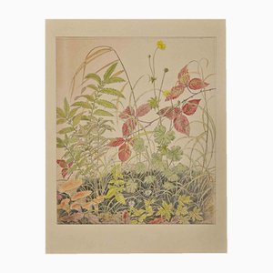 Anne Gallion-Krohn, Blumen, Pflanzen und Pilze, Mitte des 20. Jahrhunderts, Tinte & Aquarell