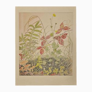 Anne Gallion-Krohn, Flores, plantas y hongos, Mediados del siglo XX, Tinta y acuarela