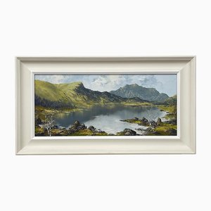 Charles Wyatt Warren, Impasto Mountain Lake Landscape, Peinture à l'Huile, 20ème Siècle, Encadré