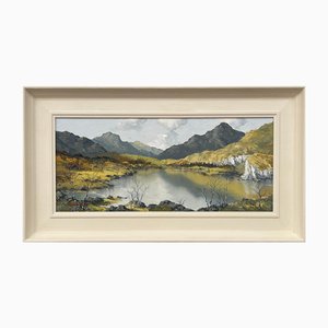 Charles Wyatt Warren, Impasto Welsh Mountain Lake Scene, de mediados del siglo XX, óleo