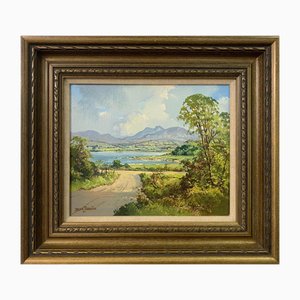 Denis Thornton, Lough Island in County Down, Ireland, 1980, Oil Painting, Framed