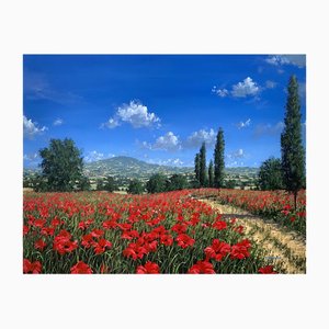 Tim Layzell, Poppy Field in the Sunshine in Europe, 2010, Painting, Framed