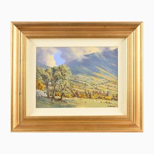 David Overend, Rural Mountain Scene with Sheep in Ireland, 1975, Painting, Framed