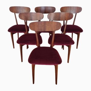 Mid-Century Italian Dining Chairs, 1960s, Set of 6