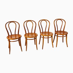 Chaises de Salle à Manger Vintage en Bouleau Courbé, 1960s, Set de 4