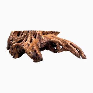 Japanese Burl Root Wood Plant Stand, 1950s