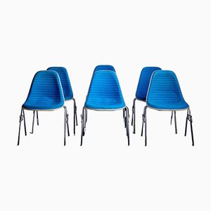 Sedie da scrivania di Ray & Charles Eames per Herman Miller, anni '70, set di 6