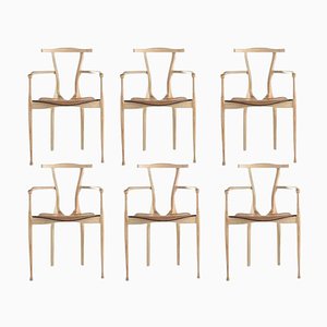 Gaulino Chairs in Natural Varnished Ash and Natural Hide, Set of 6